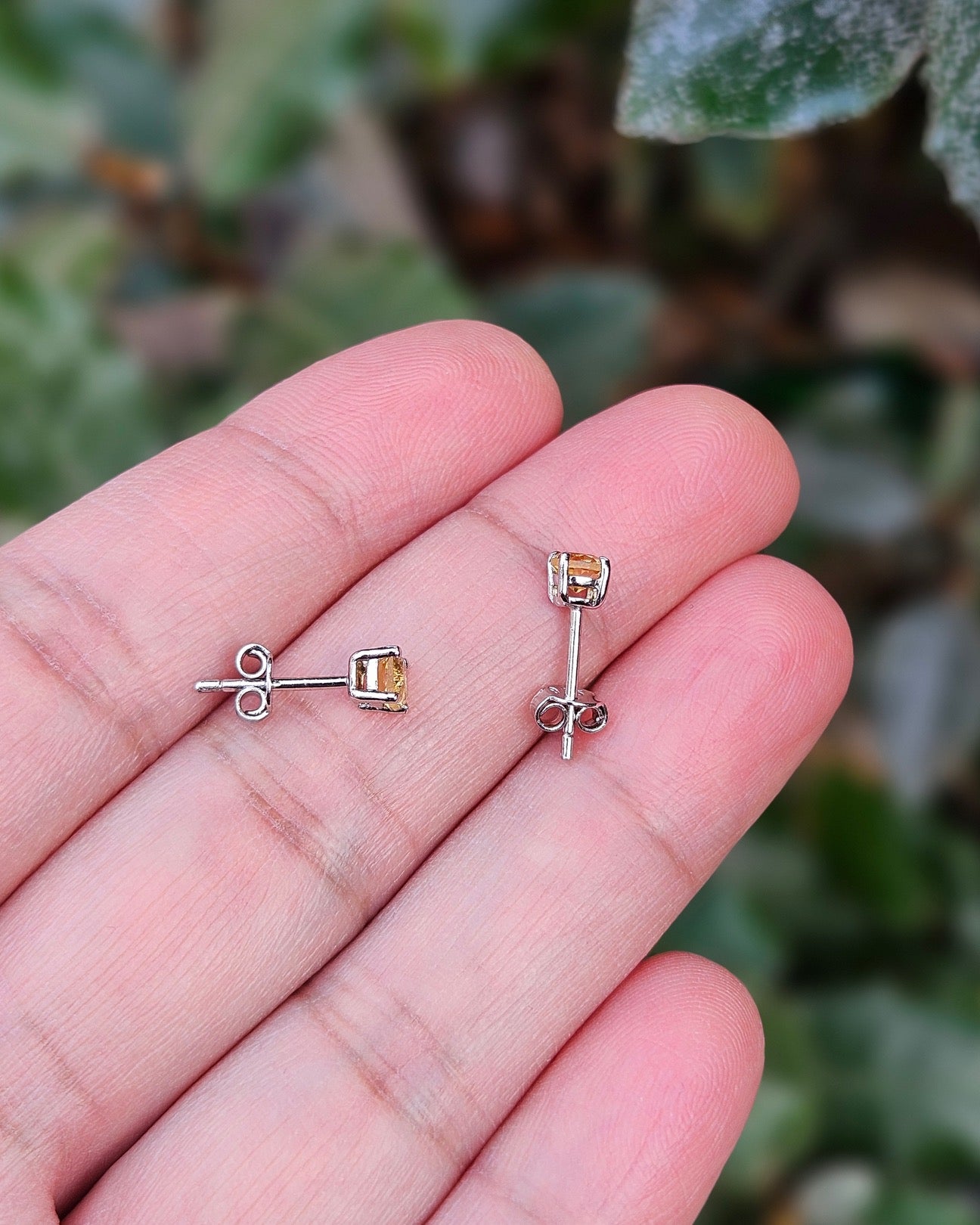 Citrien Oorknoppen Asli