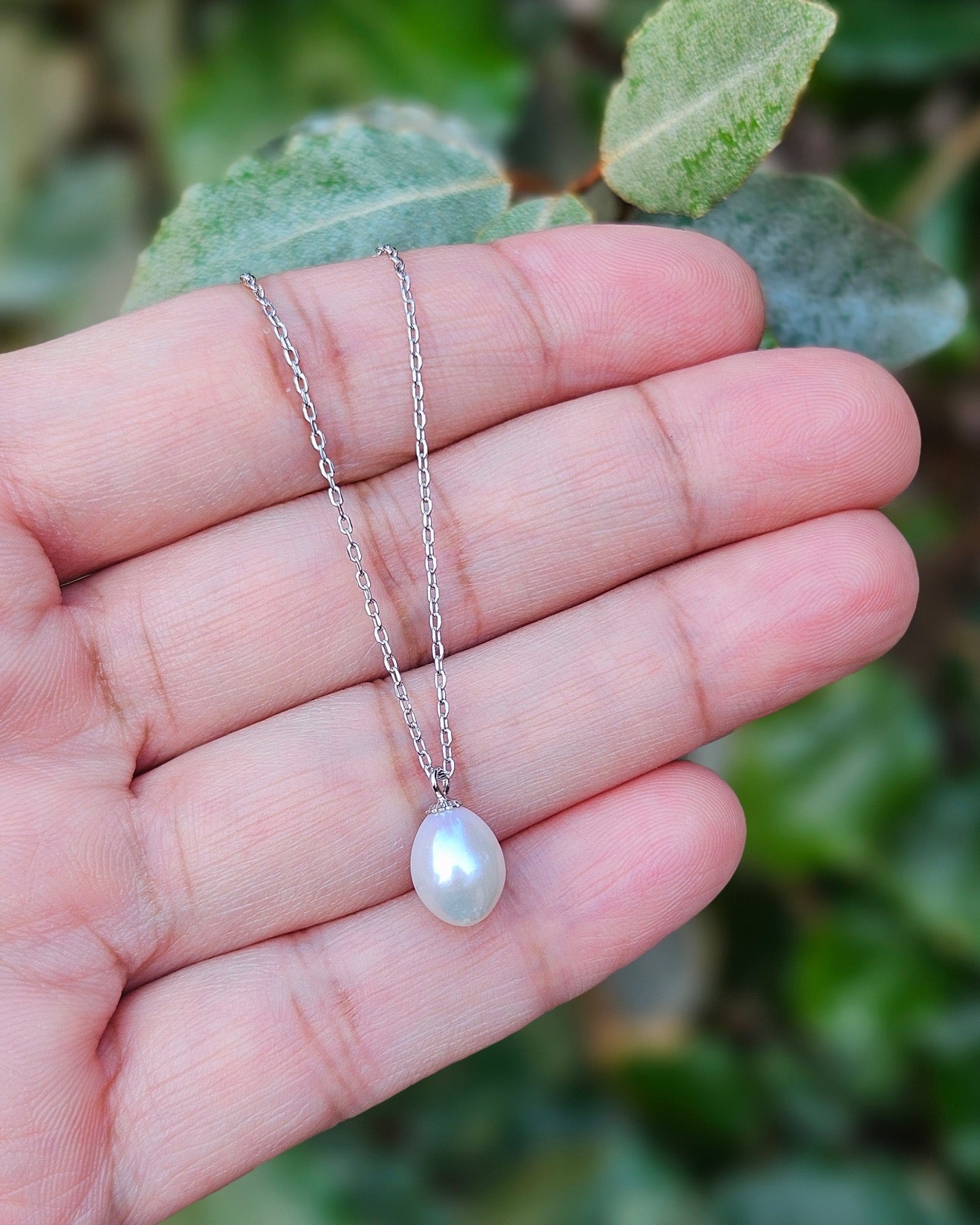 Freshwater Pearl Necklace Asta