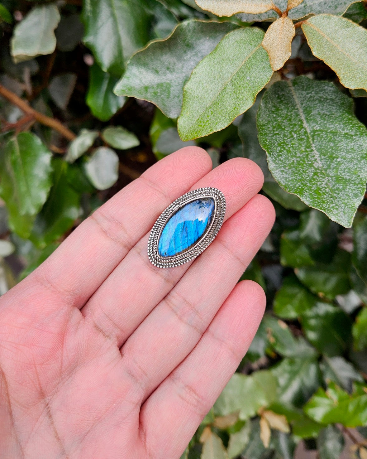 Labradoriet Ring