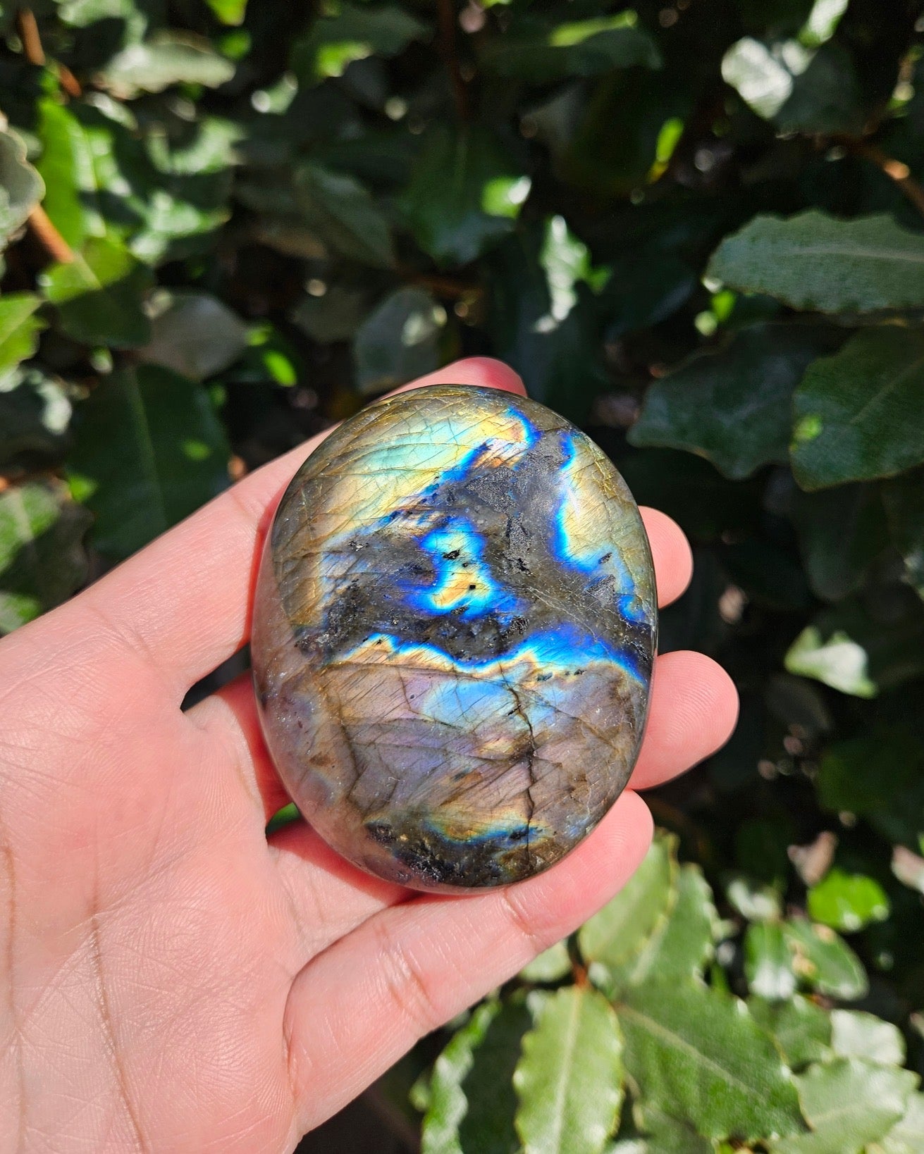 Labradorite Palm Stone