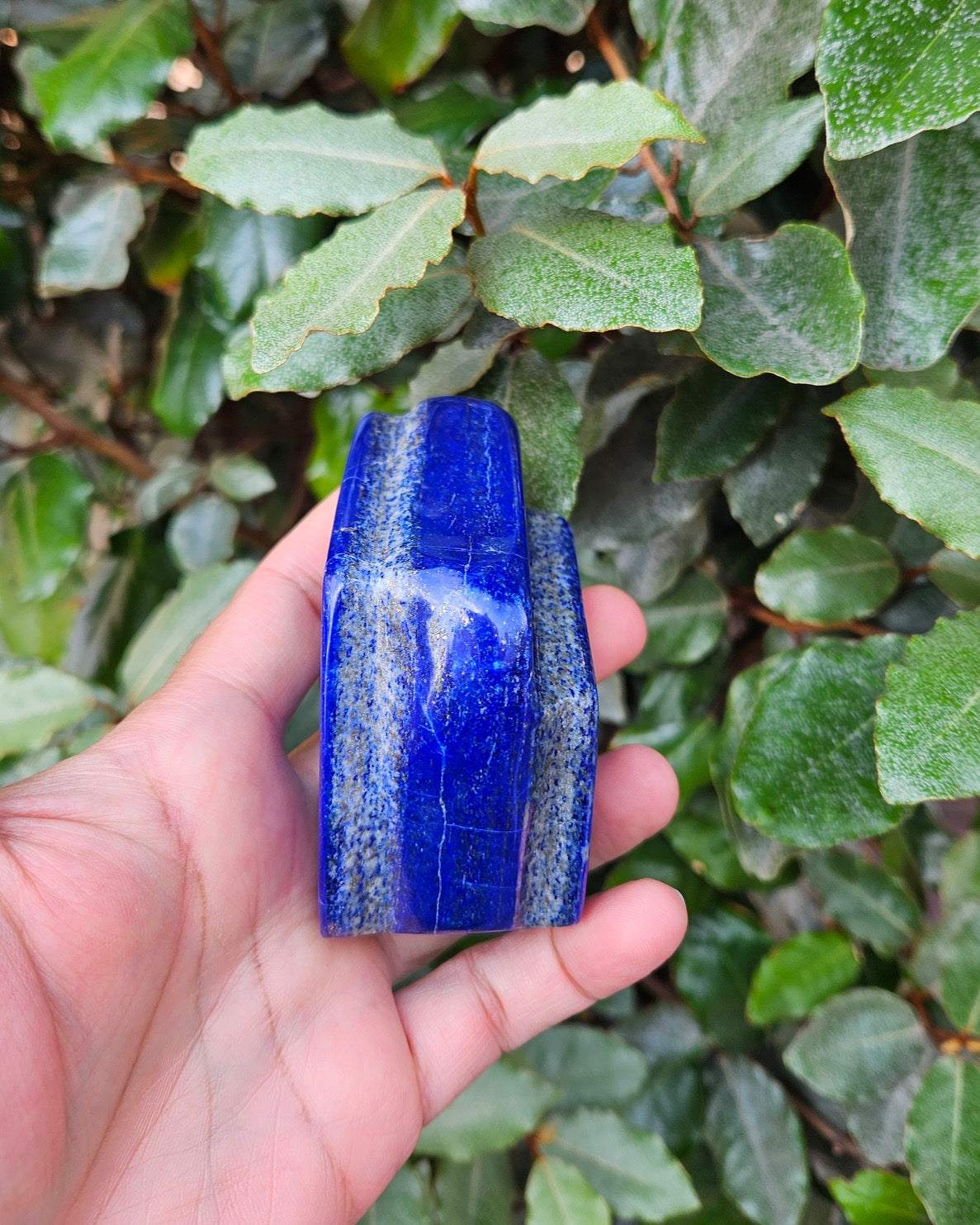 Lapis Lazuli Free Form
