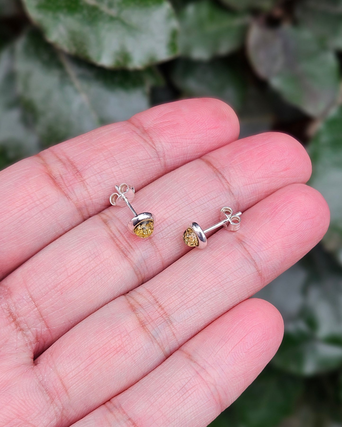 Amber Earrings Asha