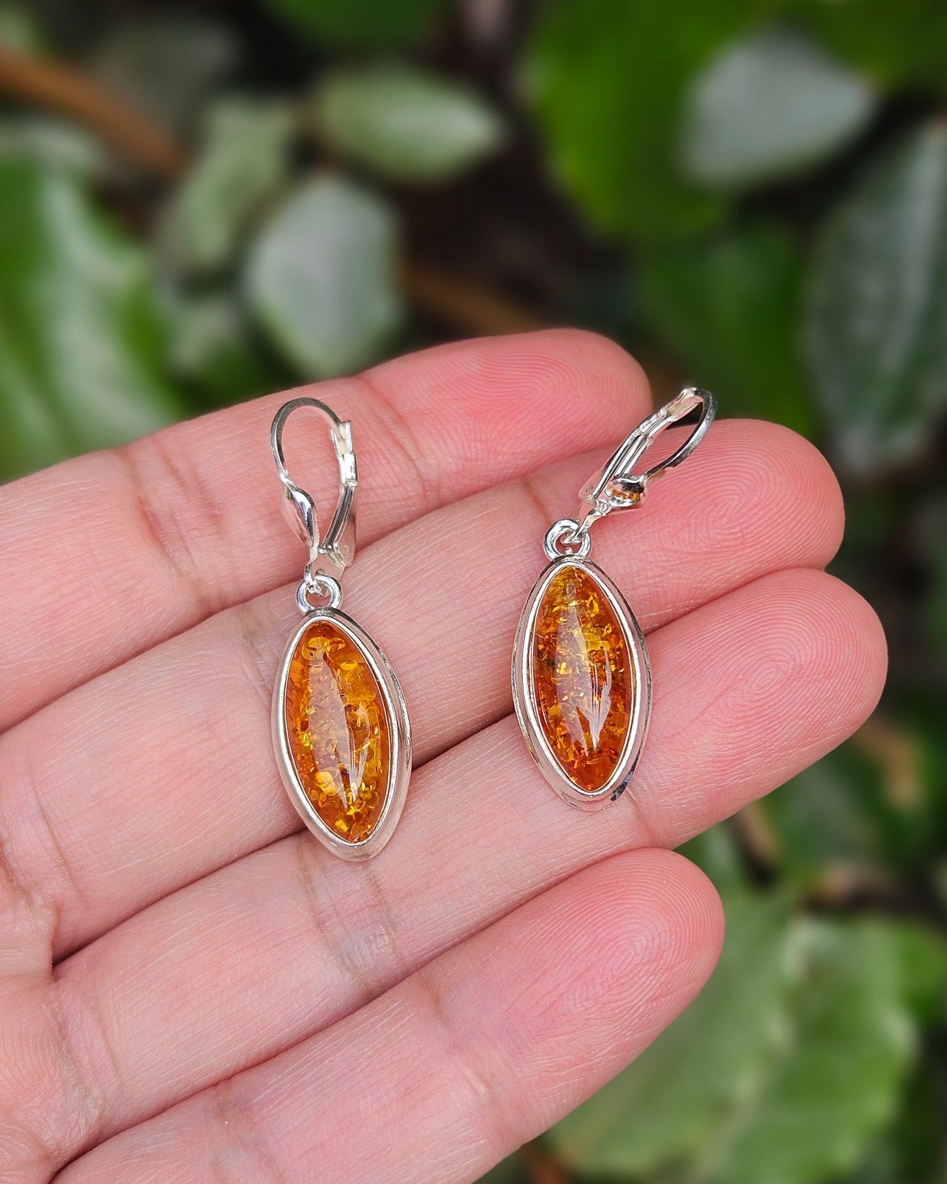 Amber Earrings