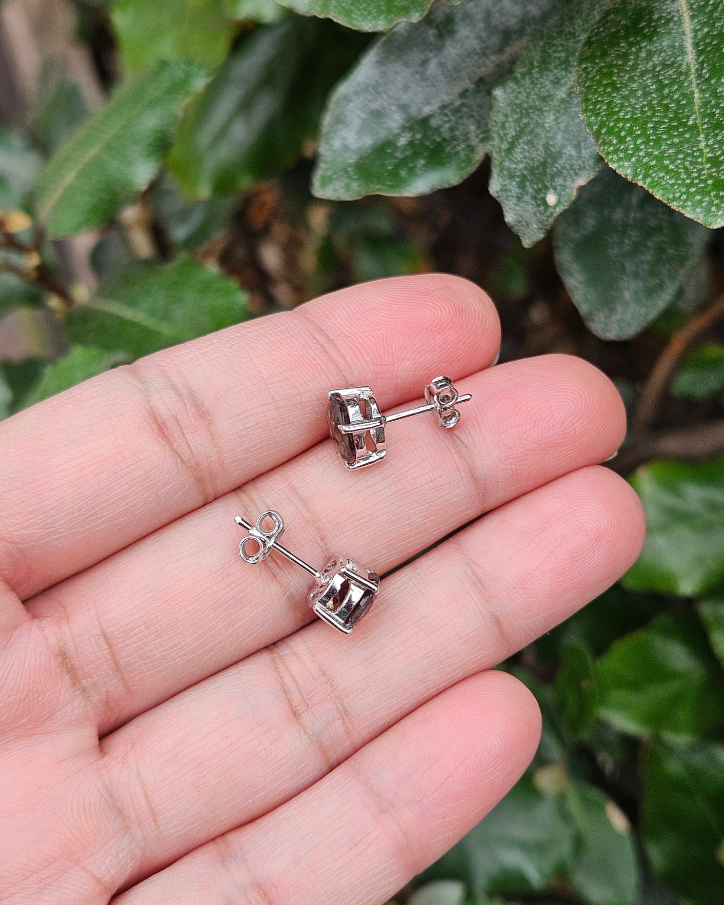 Rookkwarts oorstekers Aurora