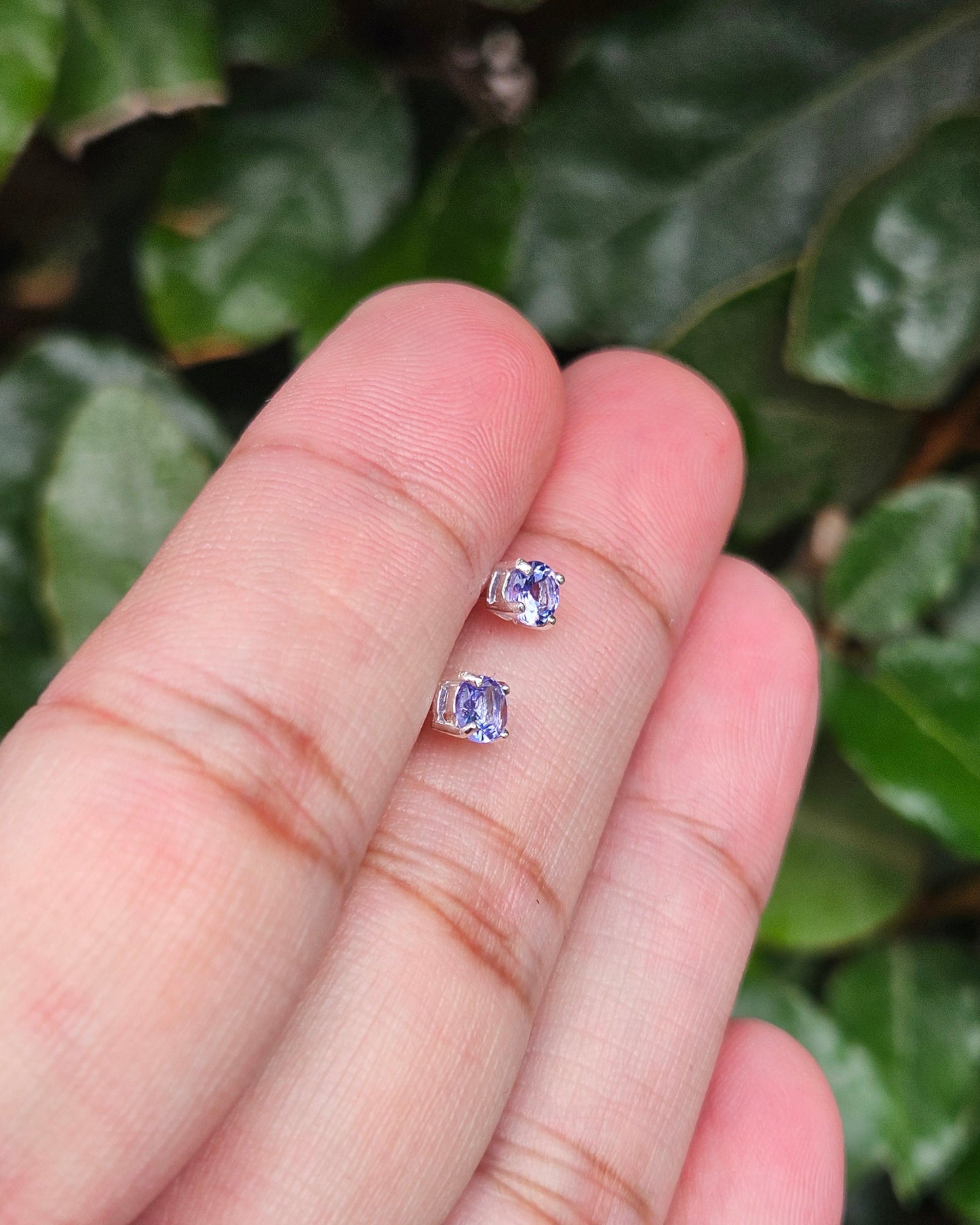 Tanzanite Earrings Thembe
