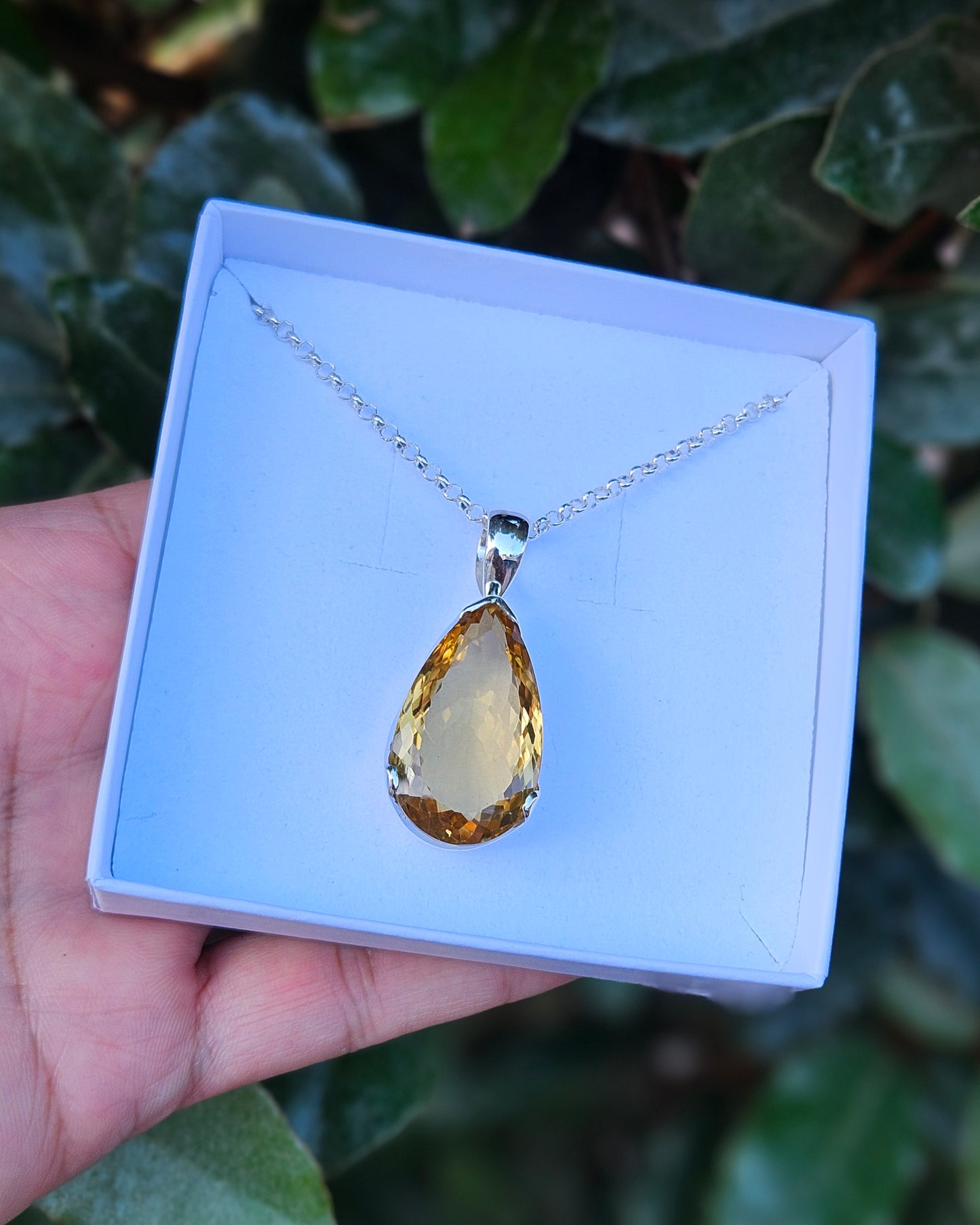 Citrien Ketting Vajen