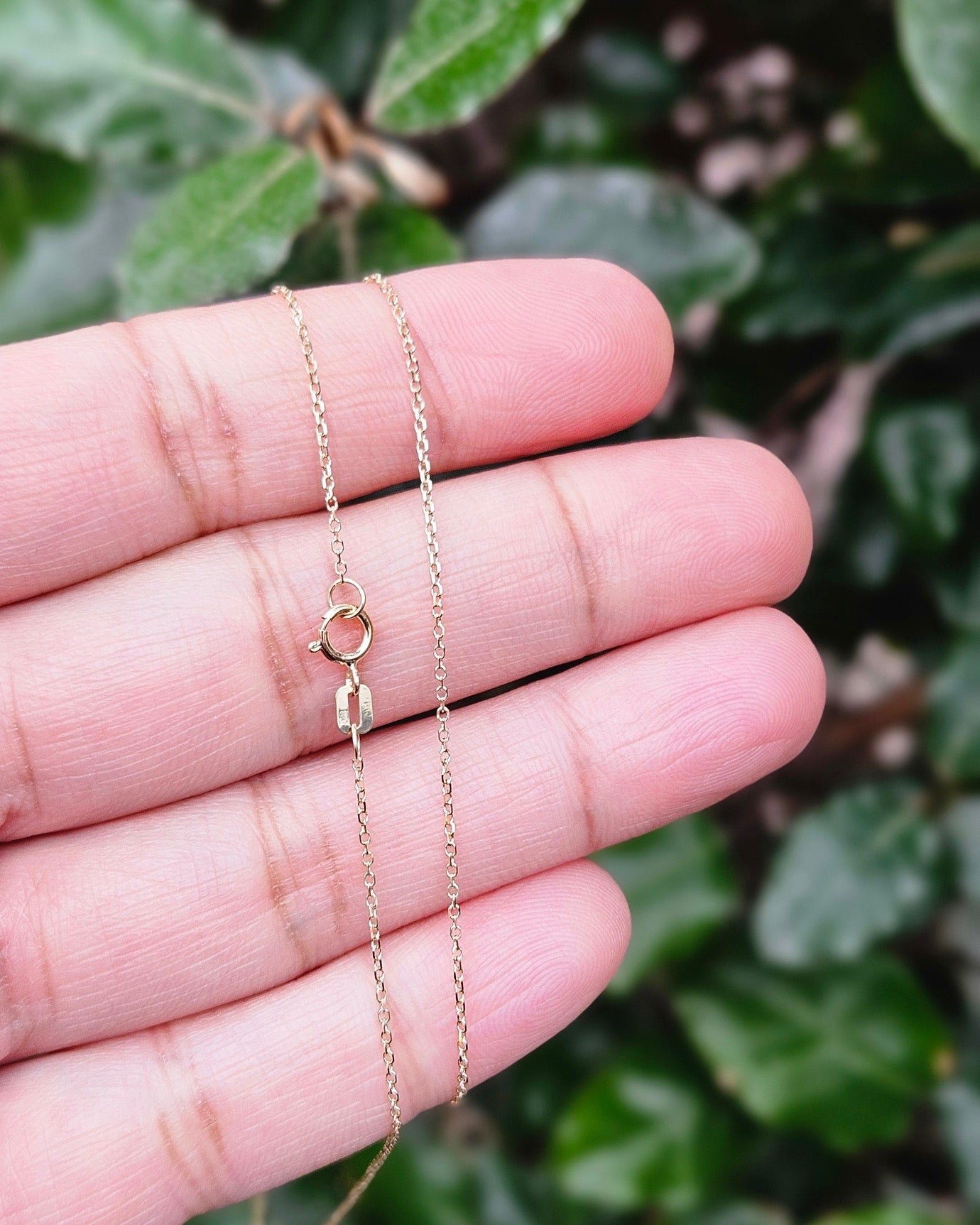 Collier Zoetwaterparel 14k Geelgoud