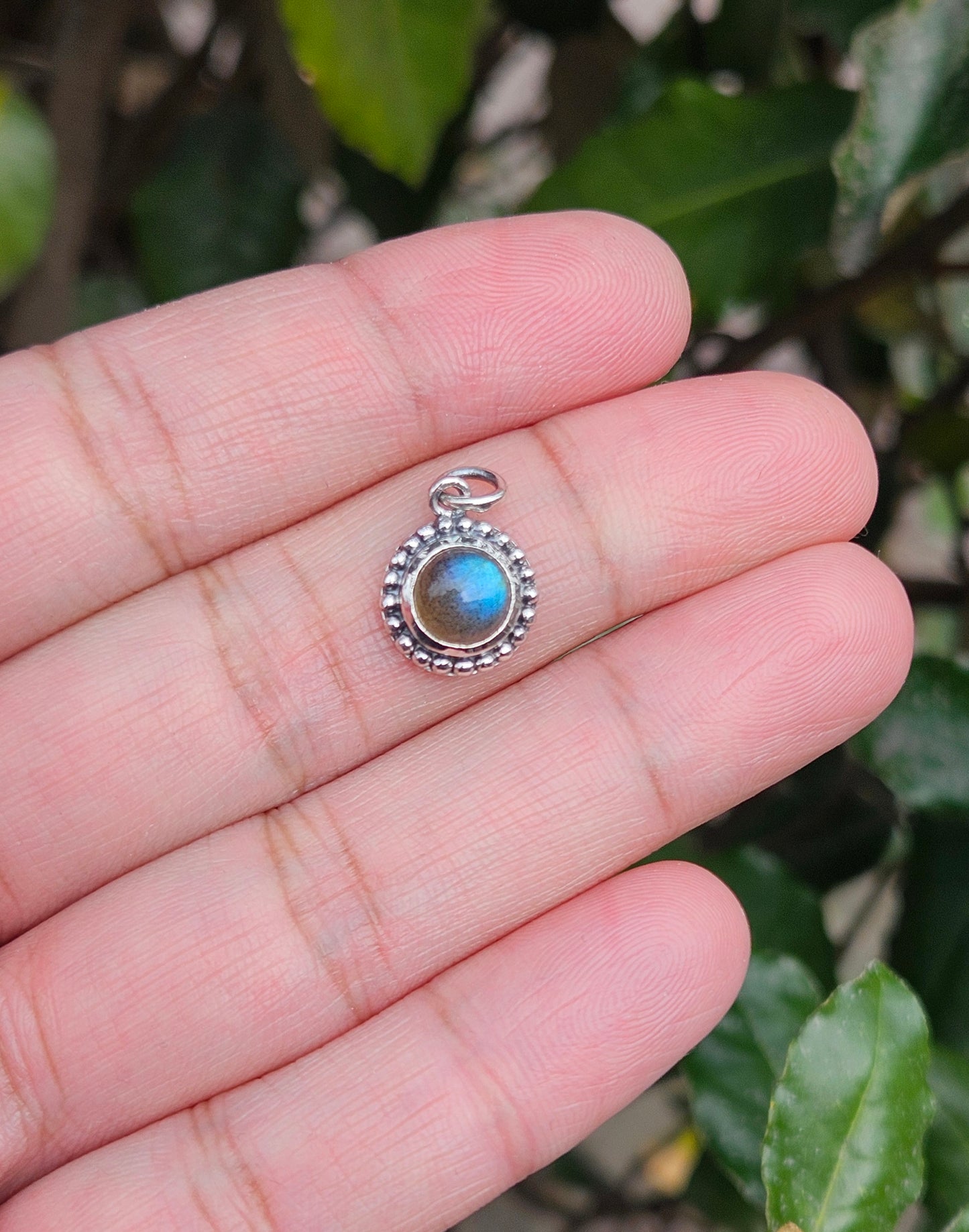 Labradoriet Hanger Prama