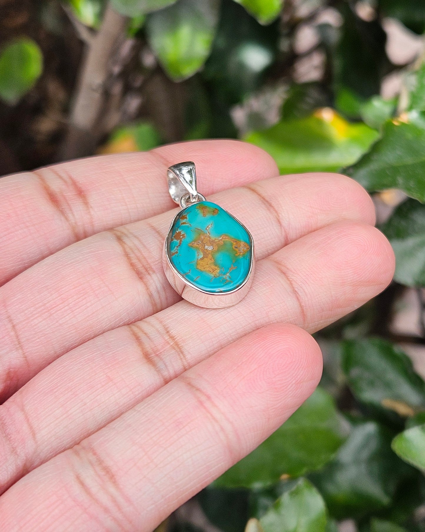 Turquoise Hanger Brahma