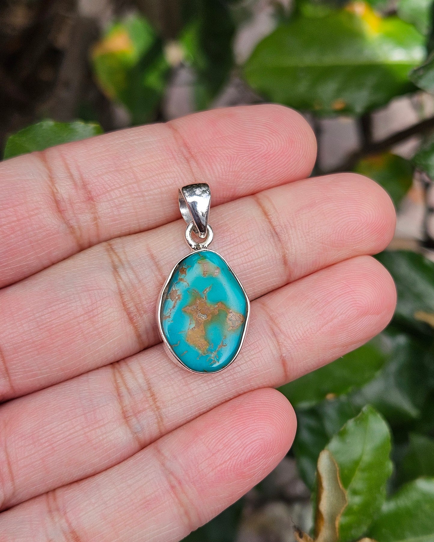 Turquoise Hanger Brahma