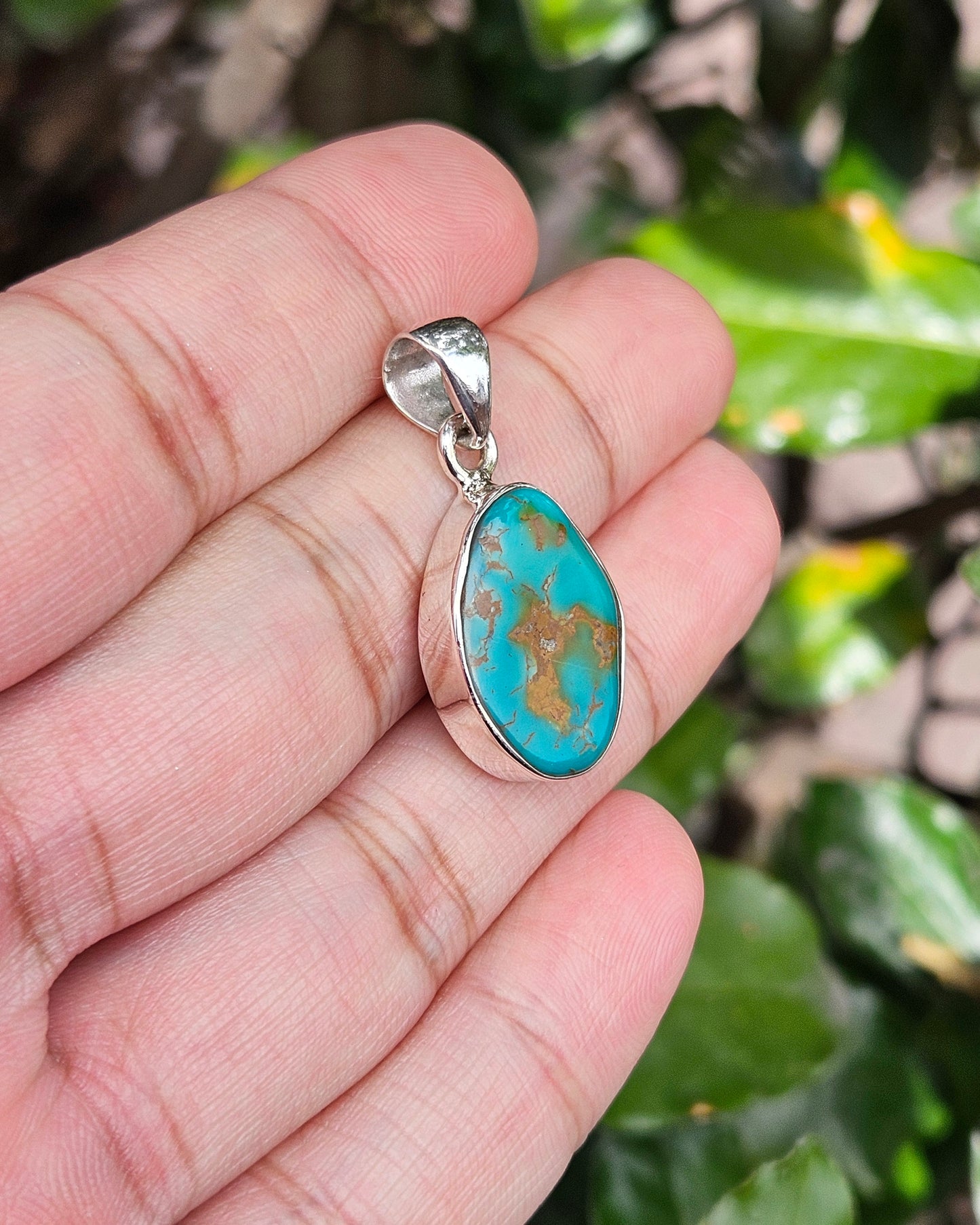 Turquoise Hanger Brahma