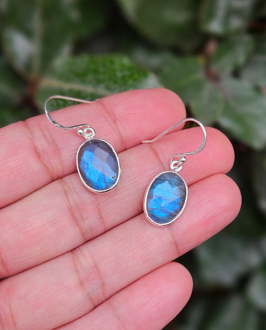 Labradoriet Oorhangers Hensai