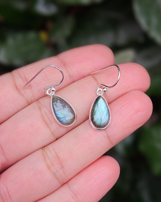 Labradoriet Oorhangers Magia