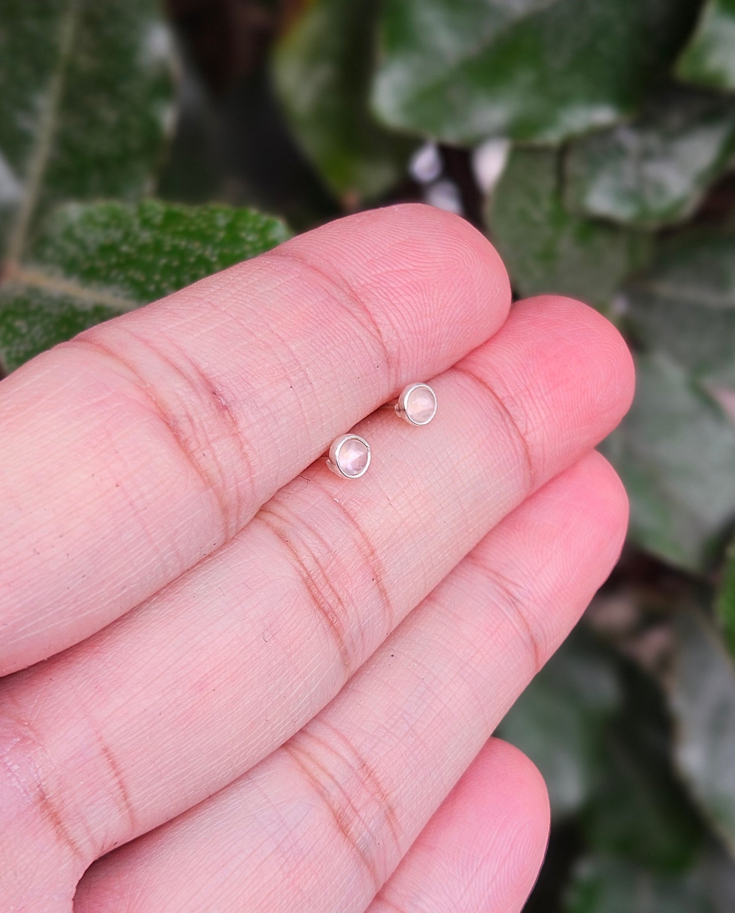 Rozekwarts Oorknoppen Amori