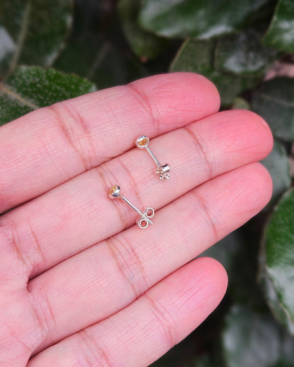 Citrien Oorknoppen Liora