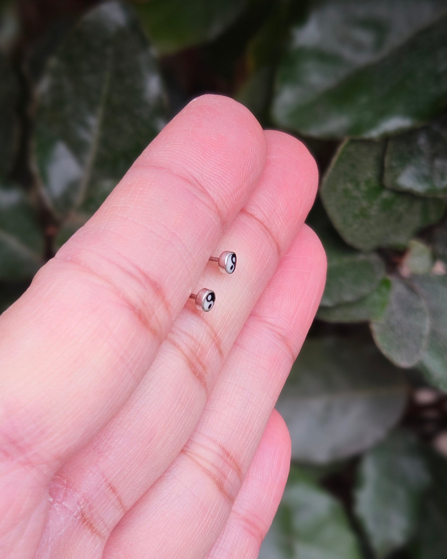 Yin Yang Oorknoppen Harmonia