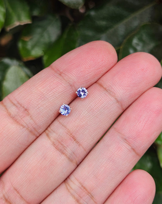 Tanzanite Earrings Thembe