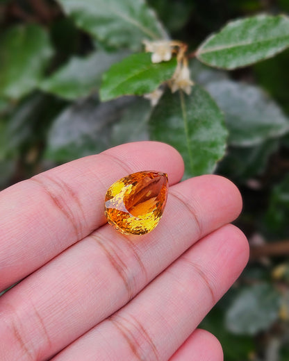 Semi-precious stone Citrine Dorit