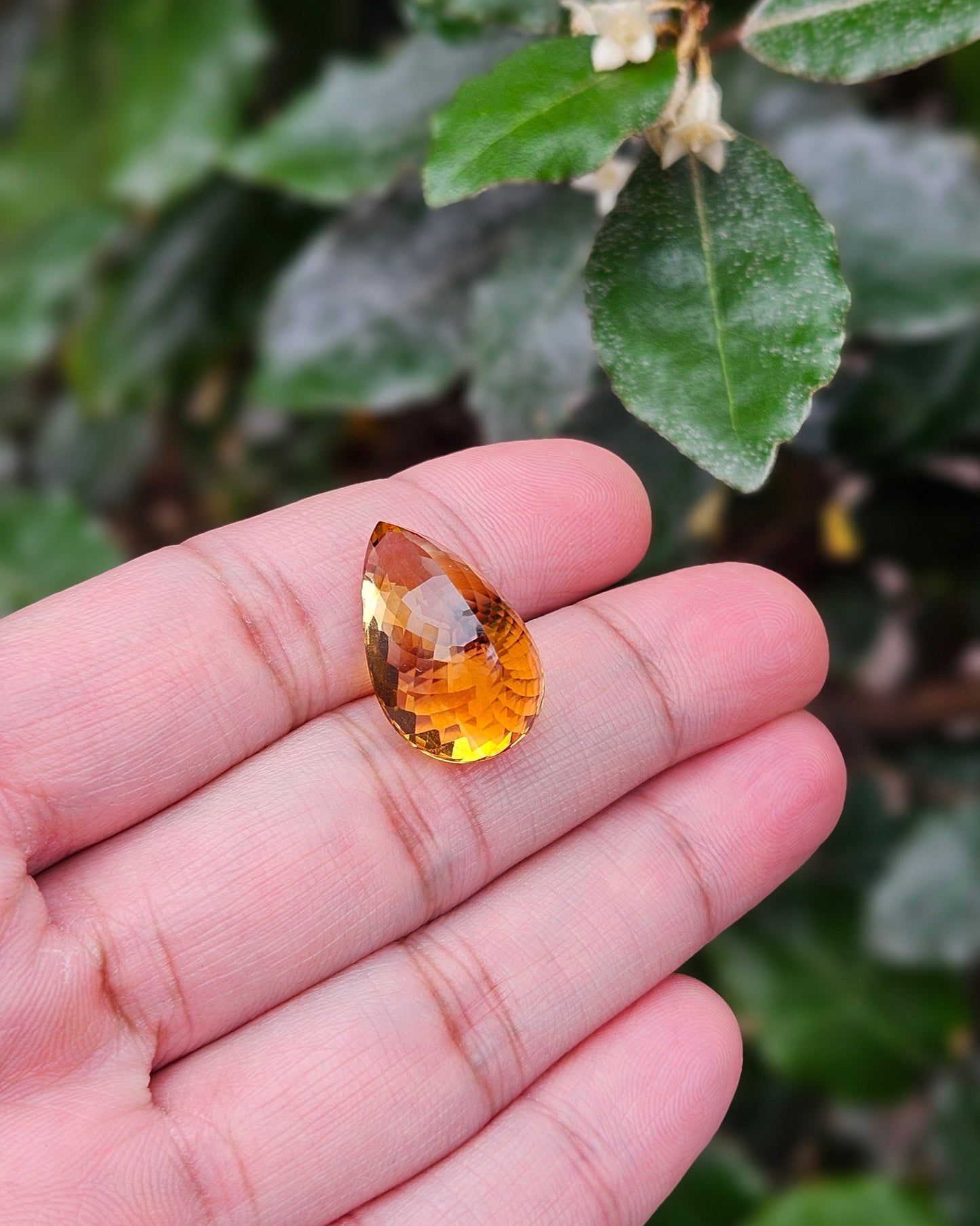 Semi-precious stone Citrine Dorit