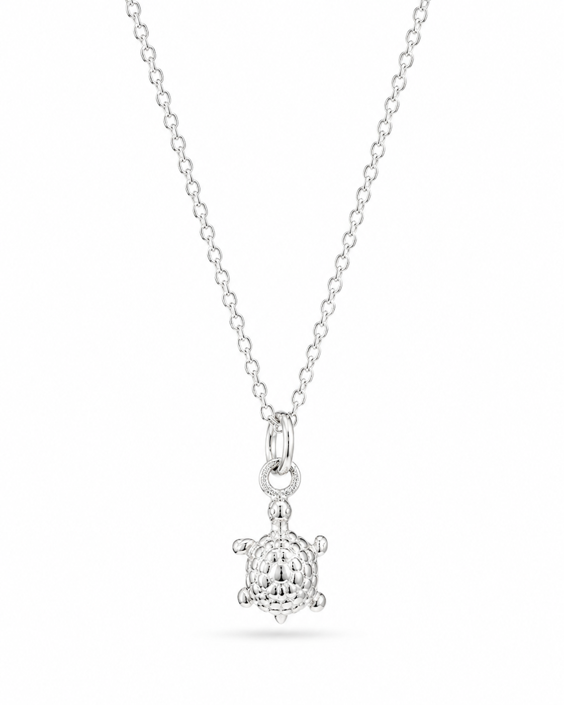 Zilveren Schildpad Ketting Guusje