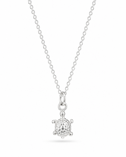 Zilveren Schildpad Ketting Guusje