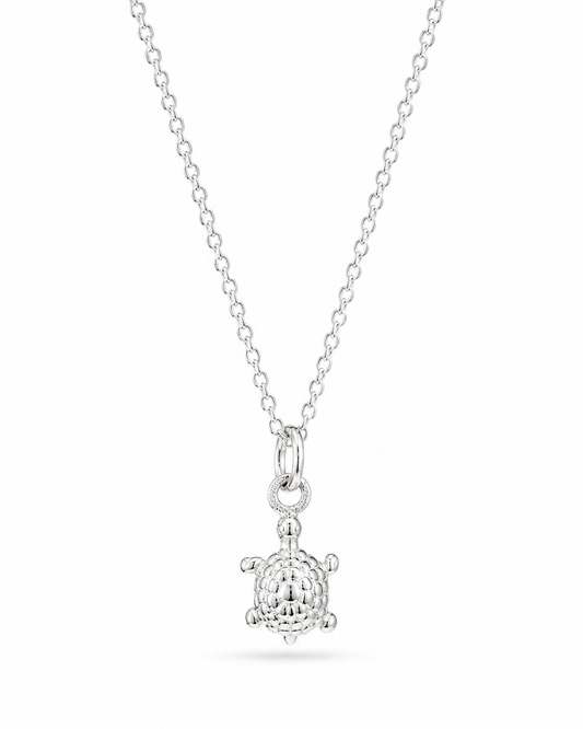 Zilveren Schildpad Ketting Guusje