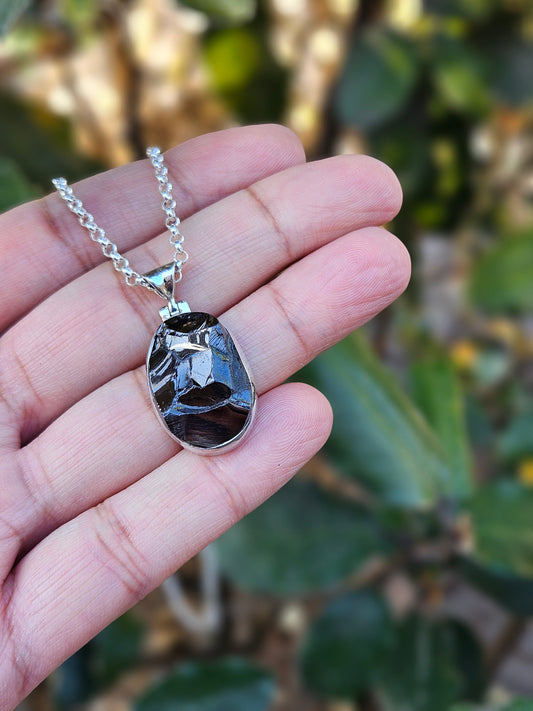 Shungite Necklace Eliana