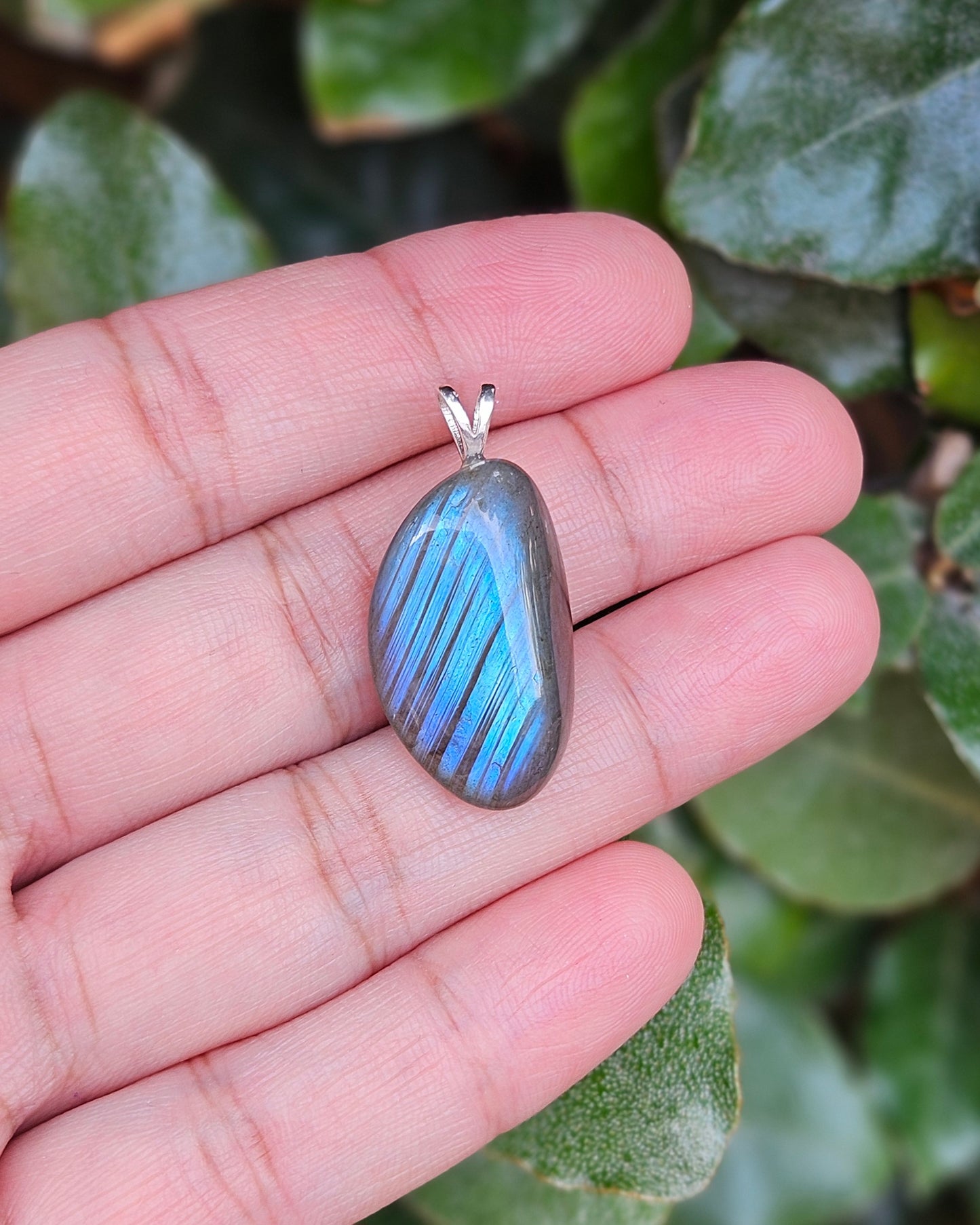 Labradoriet Hanger Nya