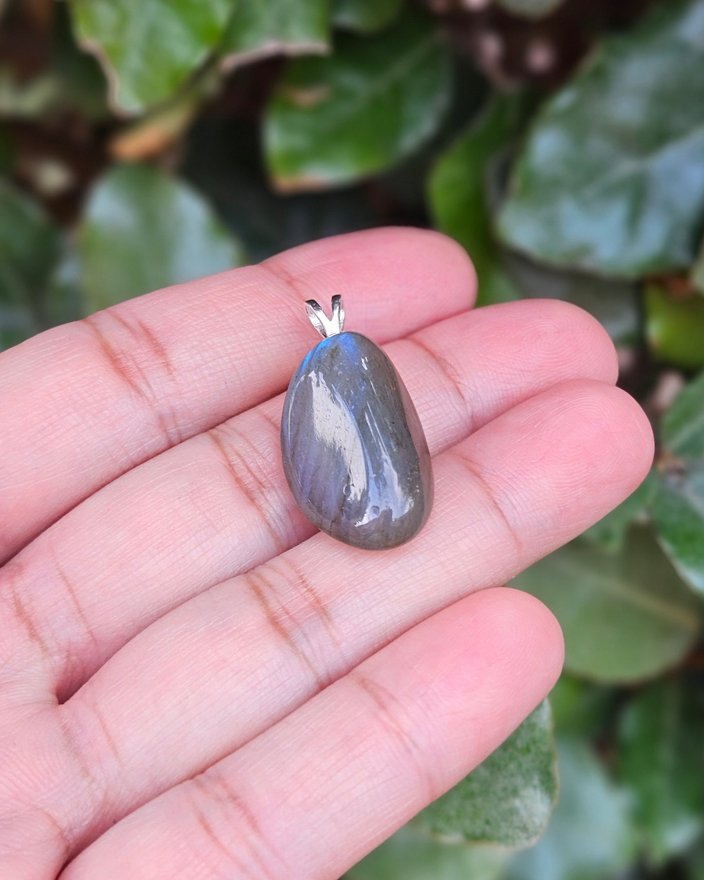 Labradoriet Hanger Nya