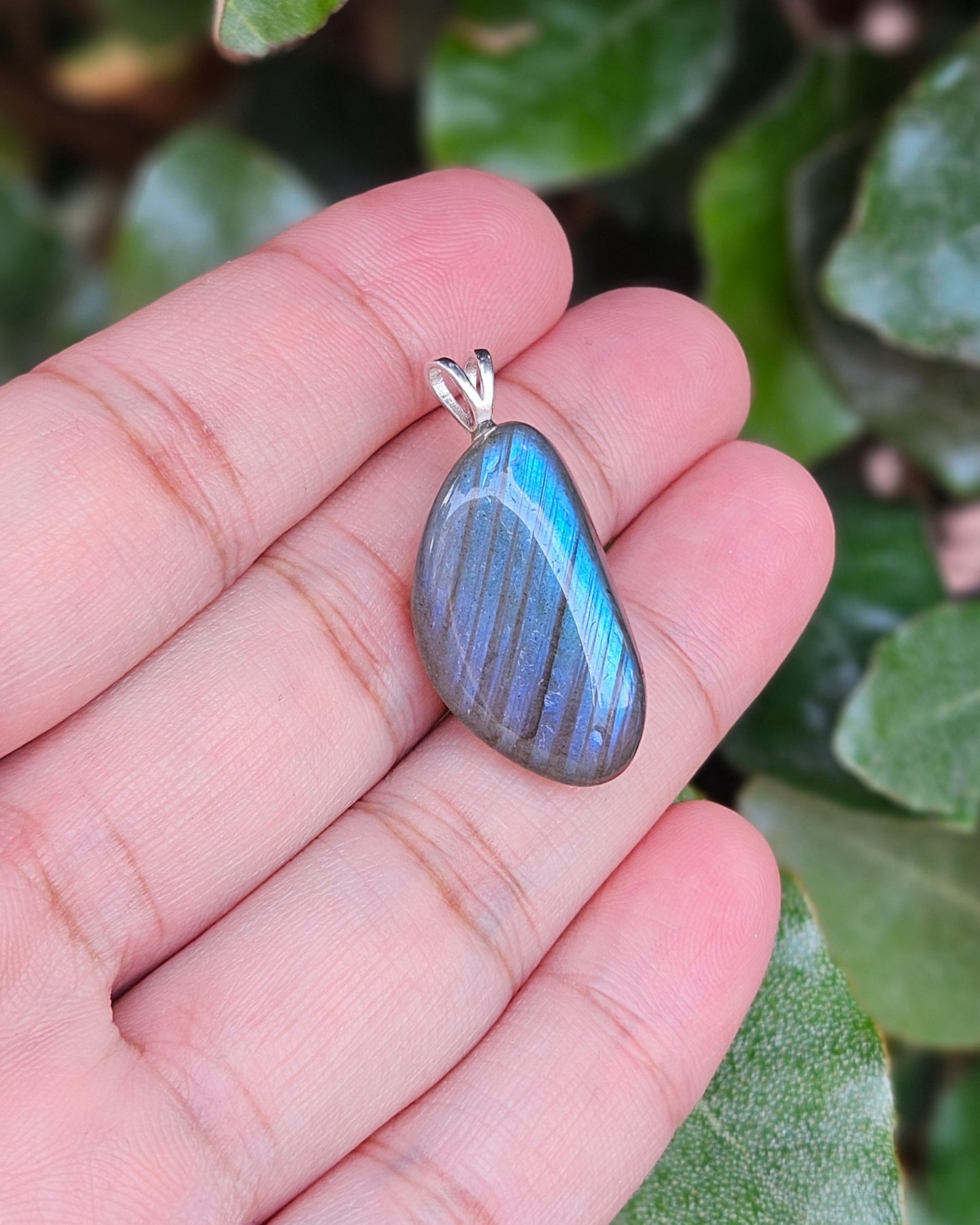 Labradoriet Hanger Nya