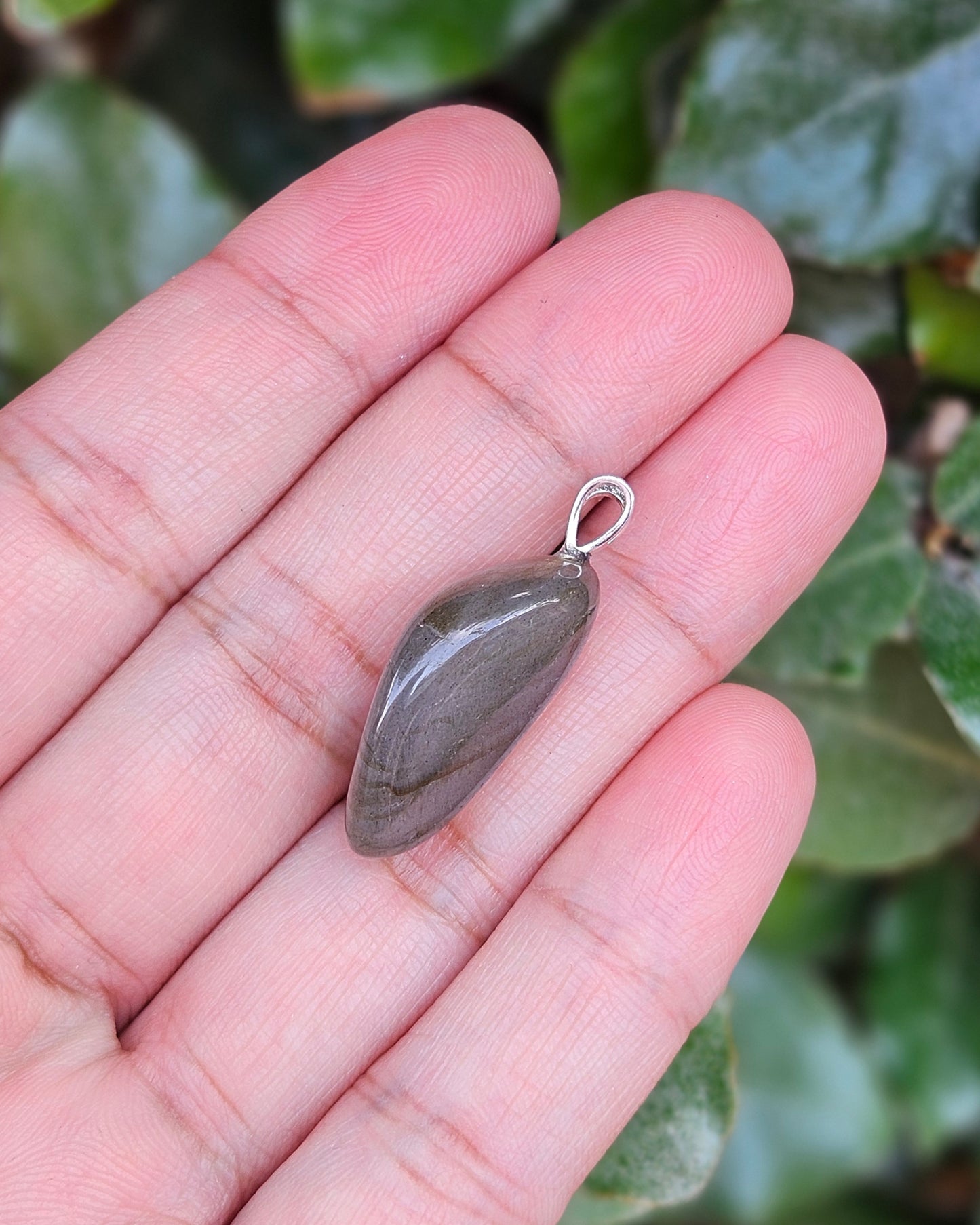 Labradoriet Hanger Nya