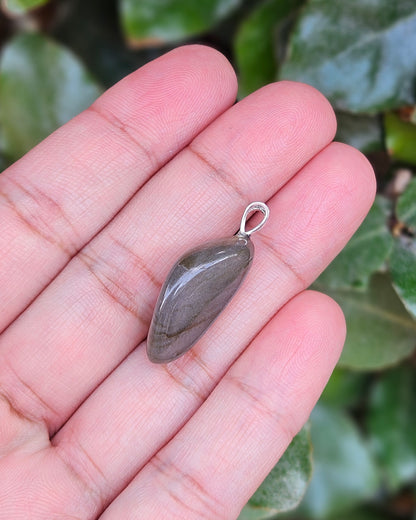 Labradoriet Hanger Nya