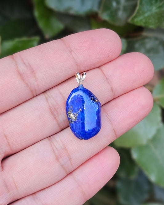 Lapis Lazuli Hanger Fee