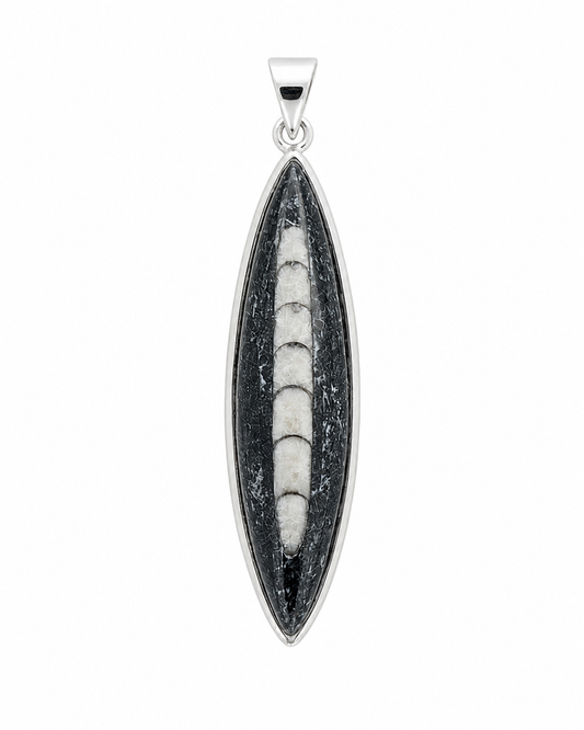 Orthoceras Pendant