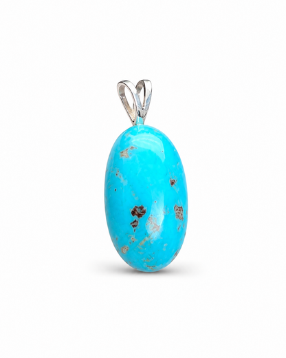 Kingman Turquoise Hanger Hinto