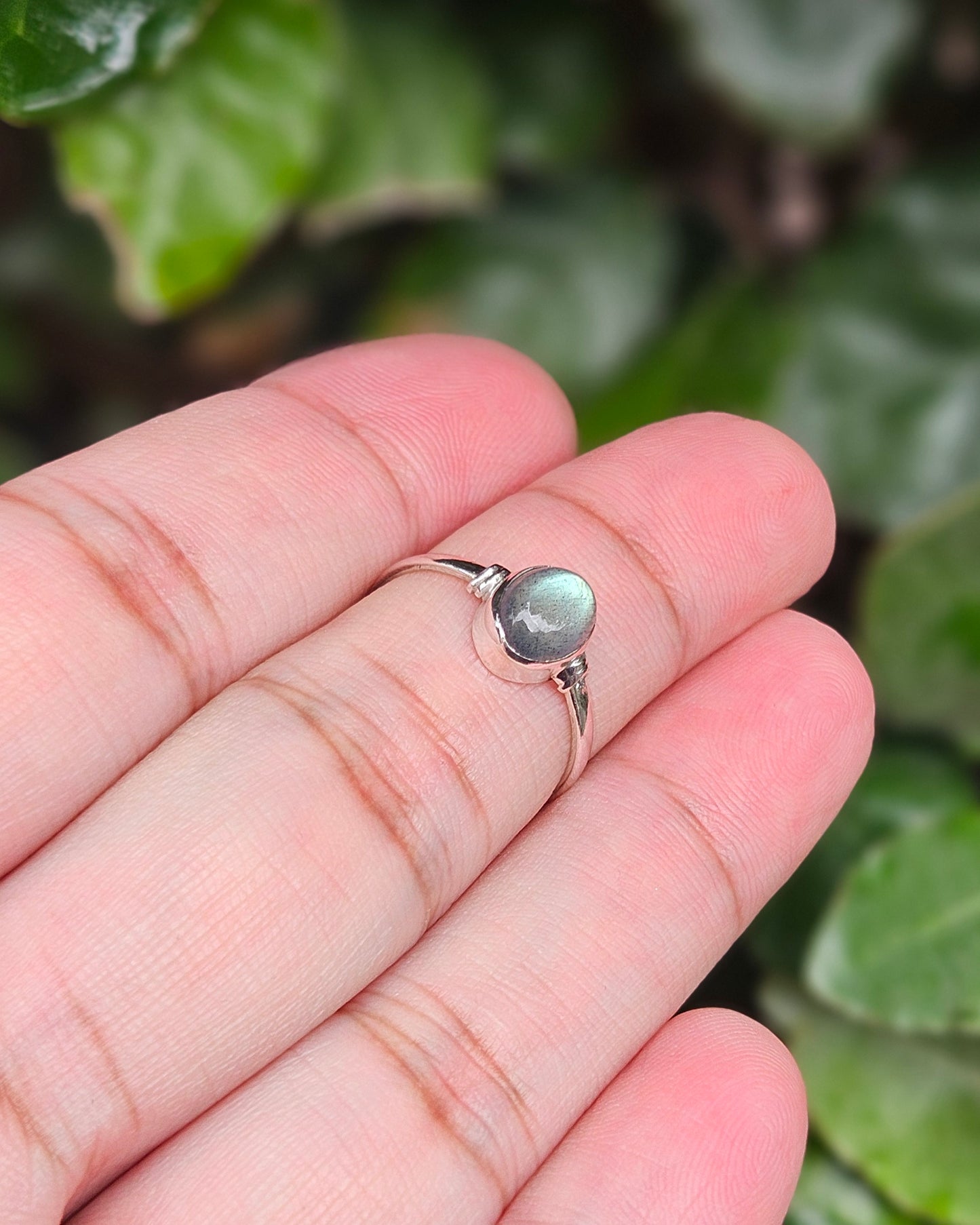 Labradoriet Ring Nya