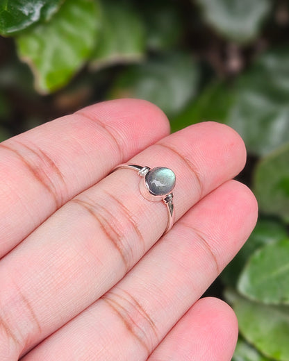 Labradoriet Ring Nya