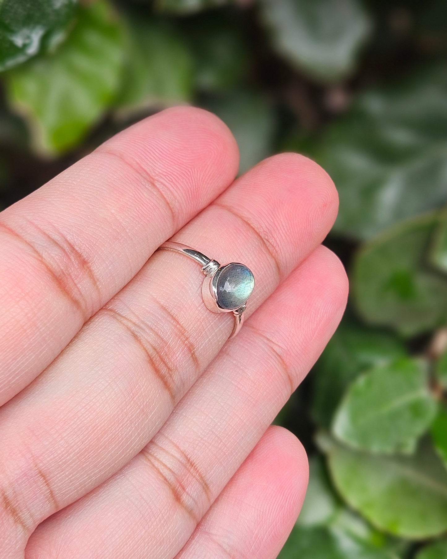Labradoriet Ring Nya