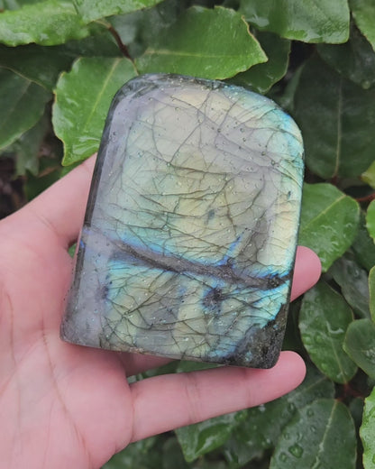 Labradorite Sculpture Hekate