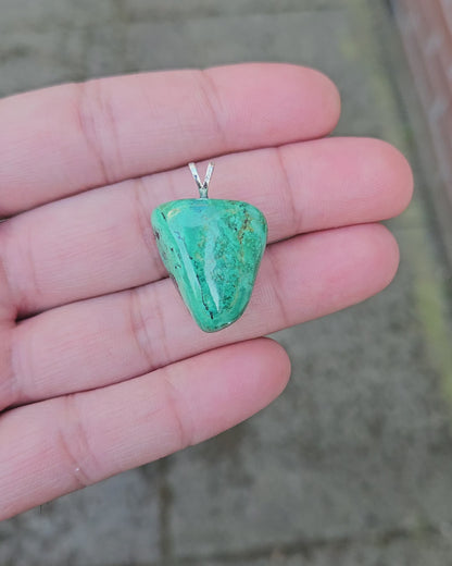 Eilat Stone Pendant Lev